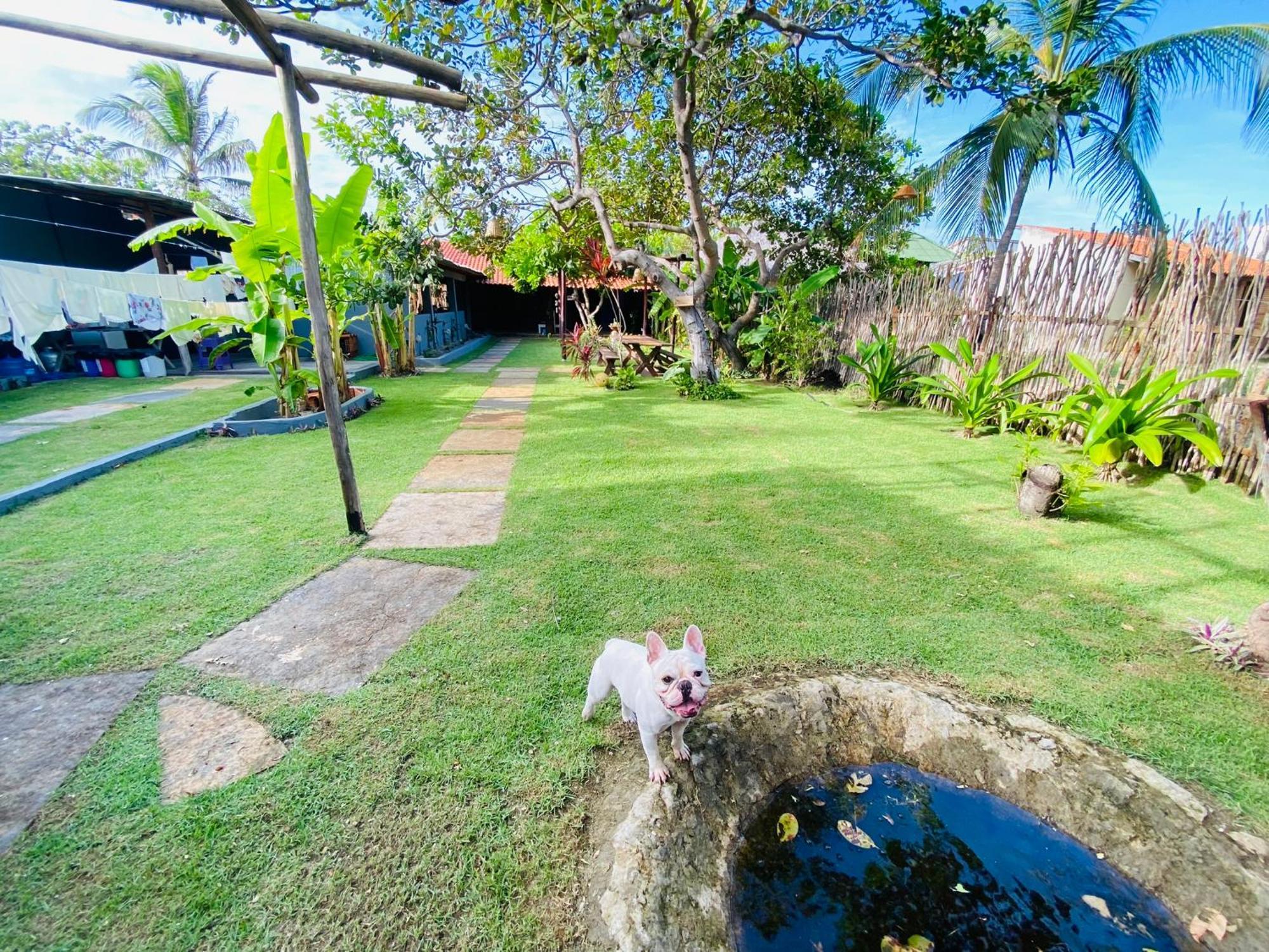 Ricatins Bed & Breakfast Bagian luar foto