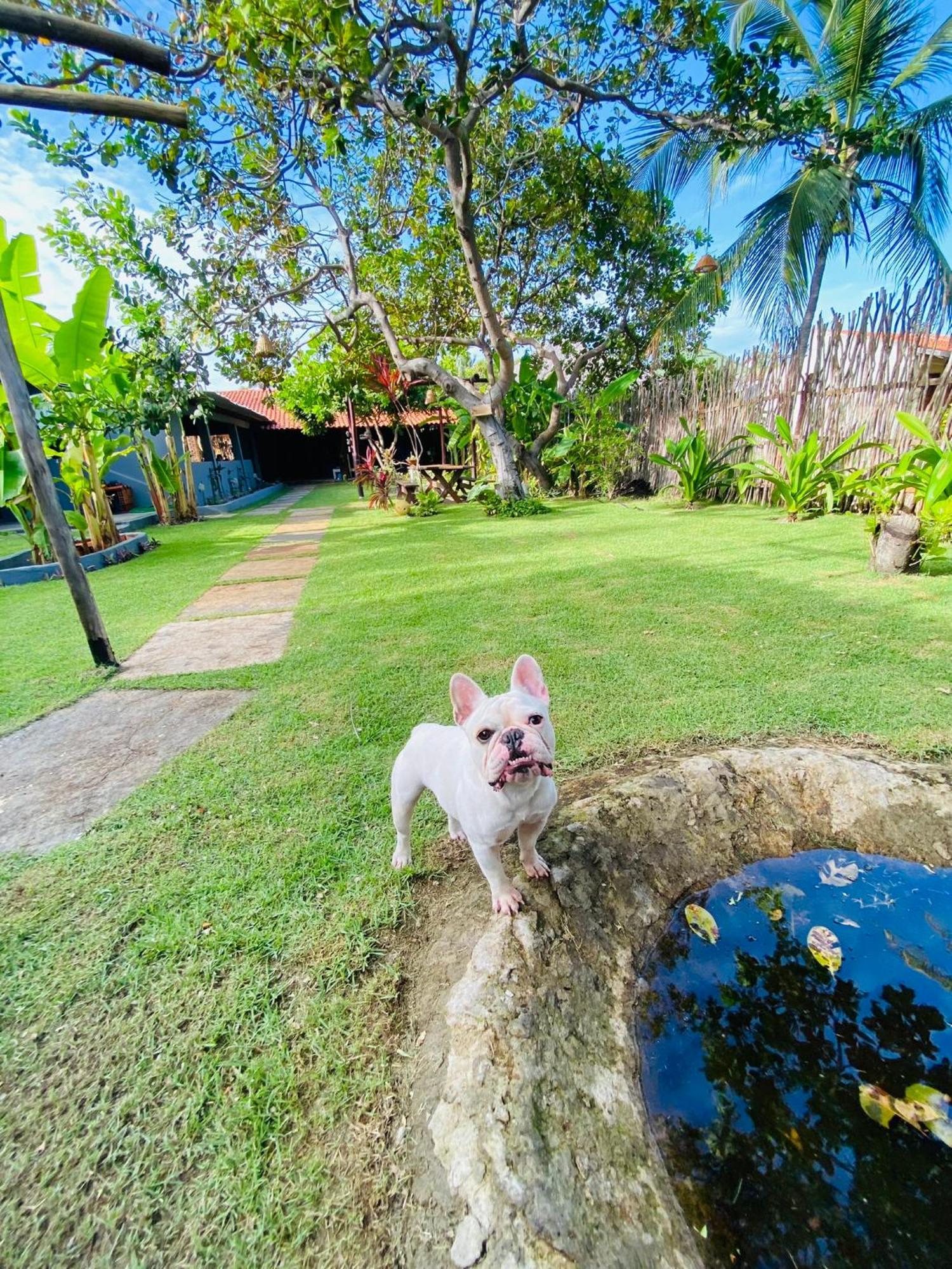 Ricatins Bed & Breakfast Bagian luar foto