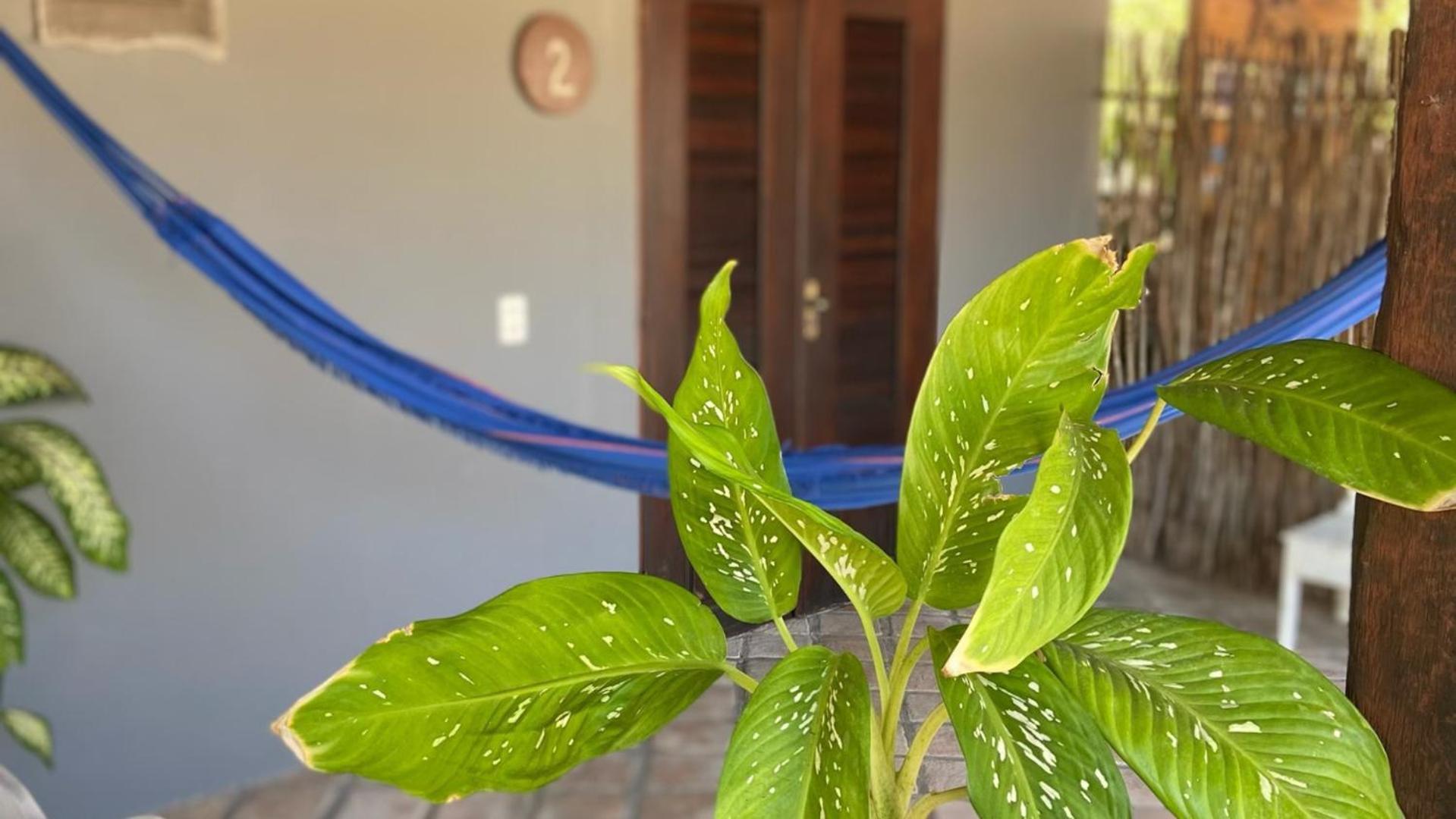 Ricatins Bed & Breakfast Bagian luar foto